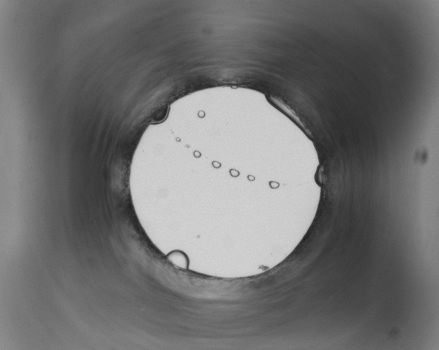 X0000114410044200911131438