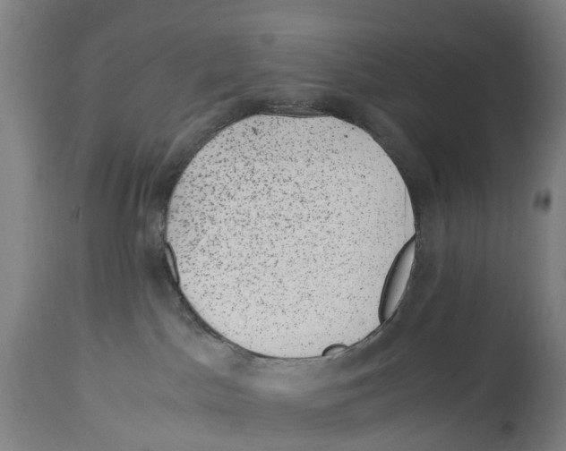 X0000114410045200911131438