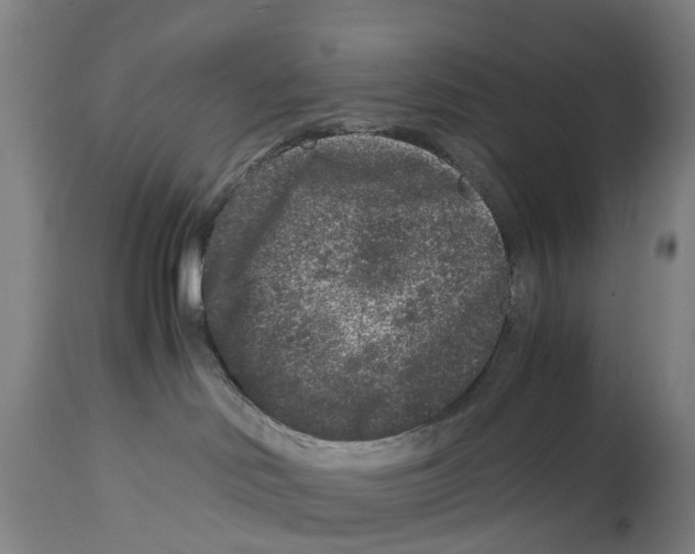 X0000114410046200911131438