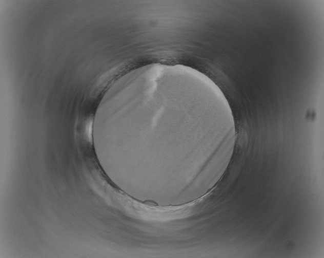 X0000114410047200911131438