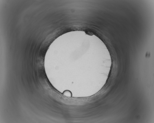 X0000114410048200911131438