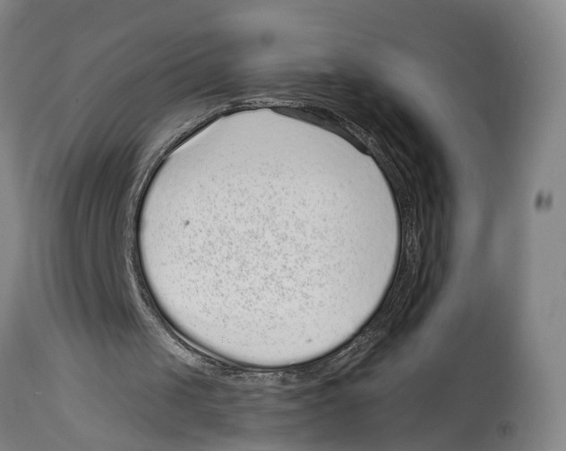 X0000114410049200911131437