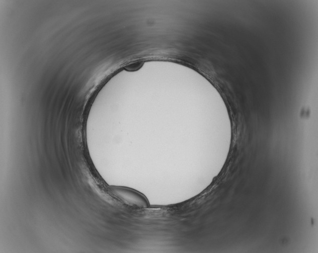 X0000114410050200911131437