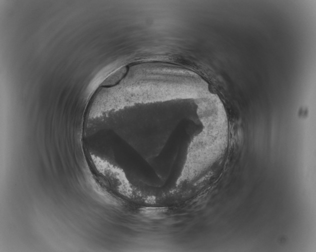 X0000114410051200911131438