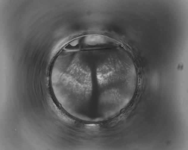 X0000114410053200911131438