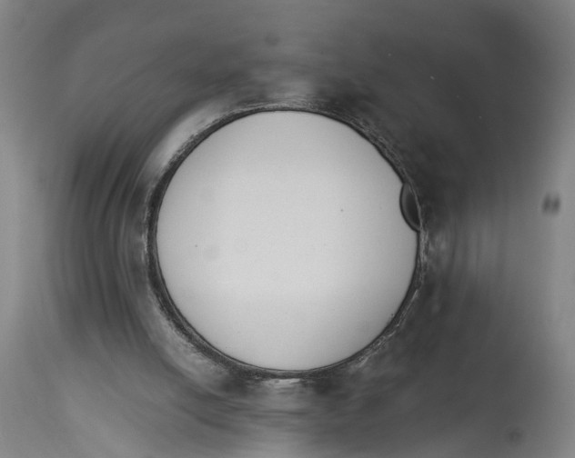 X0000114410054200911131438