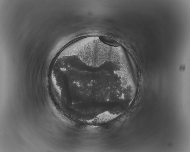 X0000114410055200911131438