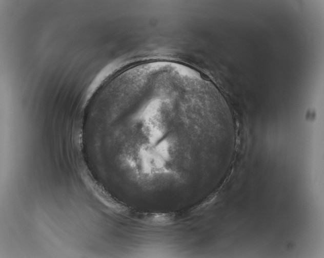 X0000114410056200911131438