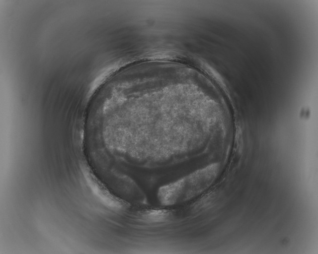 X0000114410059200911131438