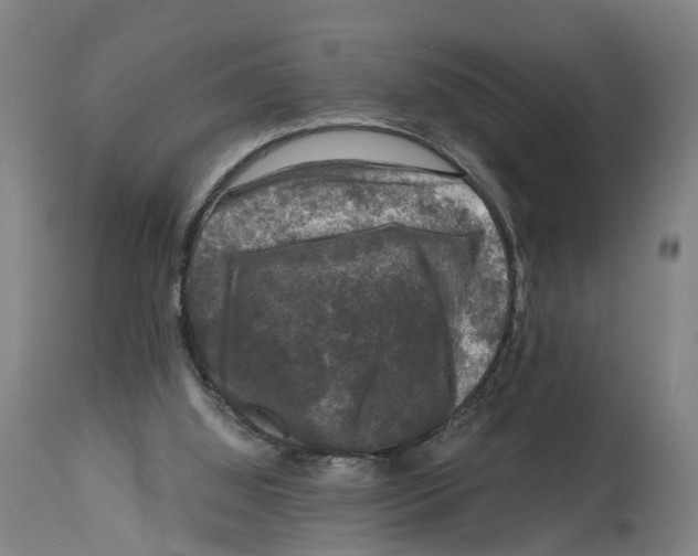 X0000114410060200911131438