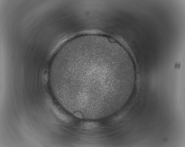 X0000114410063200911131438