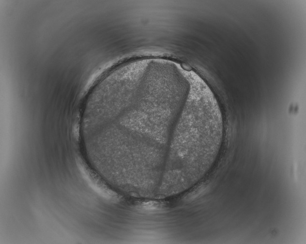 X0000114410064200911131438