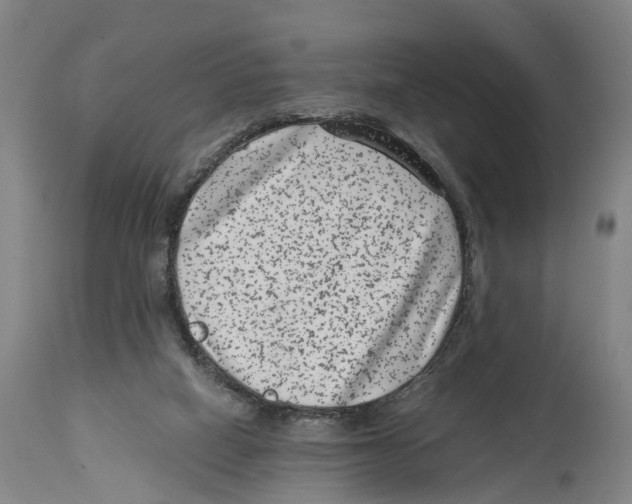 X0000114410066200911131438