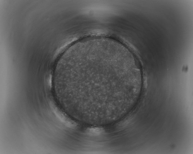 X0000114410067200911131438