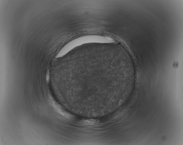 X0000114410069200911131438