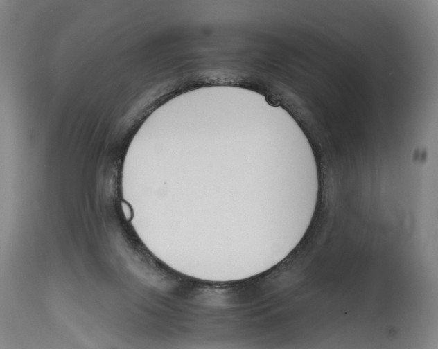 X0000114410071200911131438