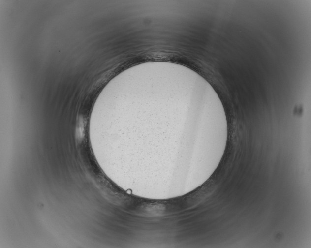 X0000114410075200911131438