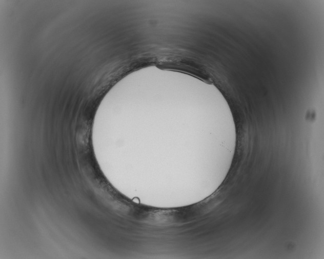 X0000114410078200911131438