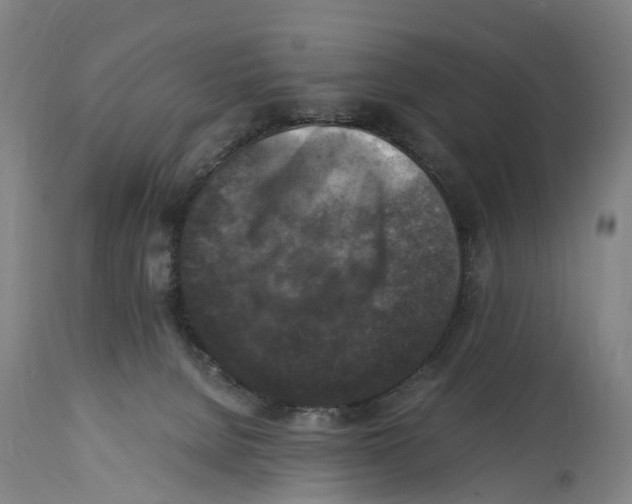 X0000114410080200911131438