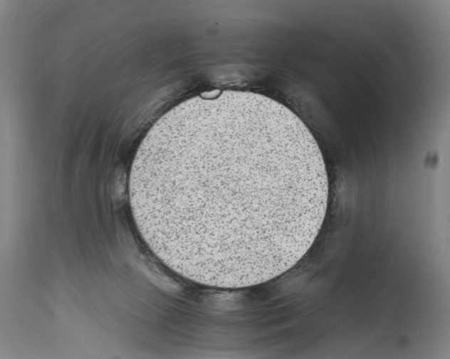 X0000114410081200911131438