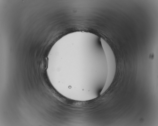 X0000114410084200911131438