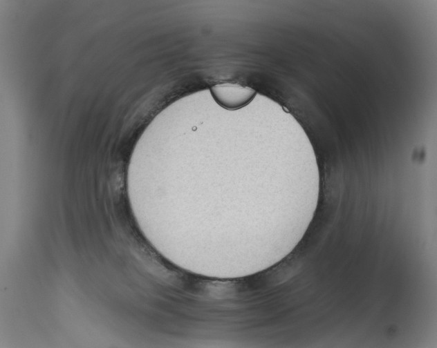 X0000114410085200911131438