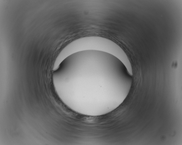 X0000114410088200911131438