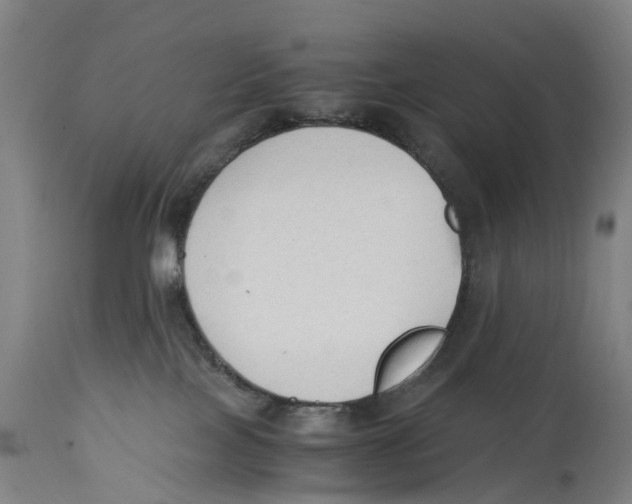 X0000114410089200911131438