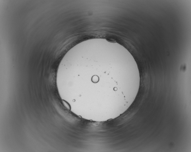 X0000114410092200911131438