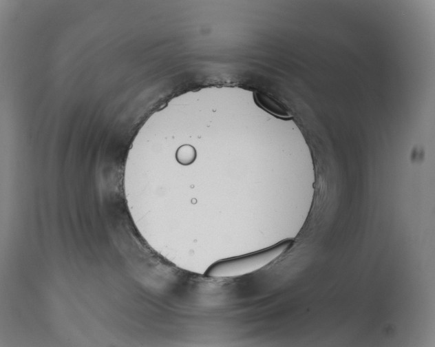 X0000114410096200911131438