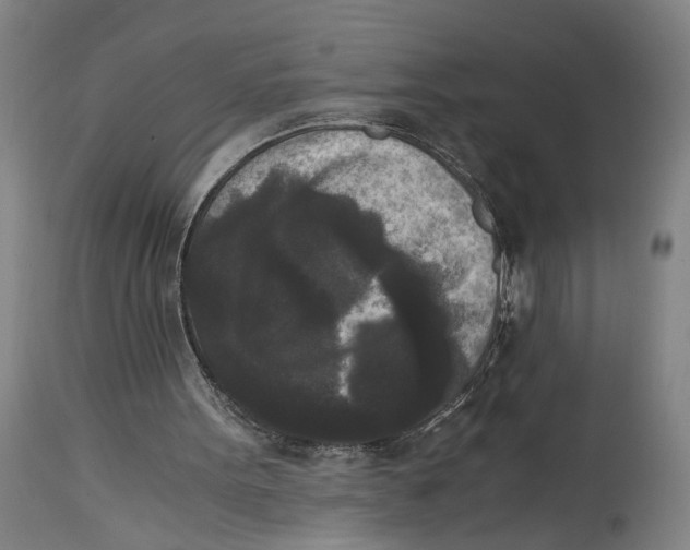 X0000114410099200911131437