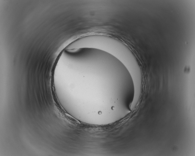 X0000114410100200911131437