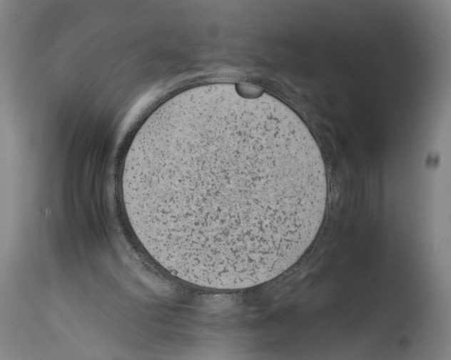 X0000114410102200911131437