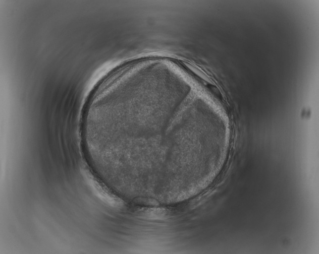 X0000114410104200911131437