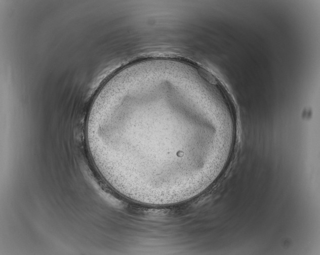 X0000114410105200911131437