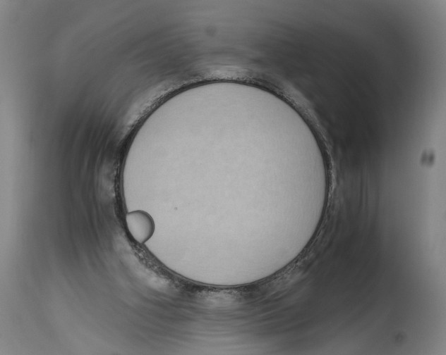 X0000114410106200911131437