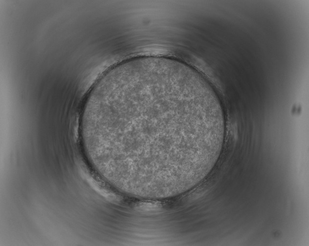 X0000114410110200911131437