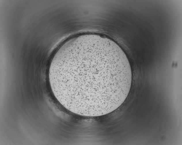 X0000114410112200911131437