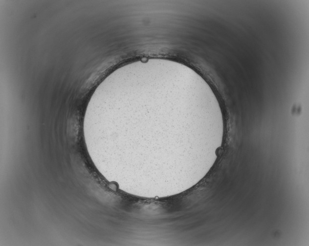 X0000114410113200911131437