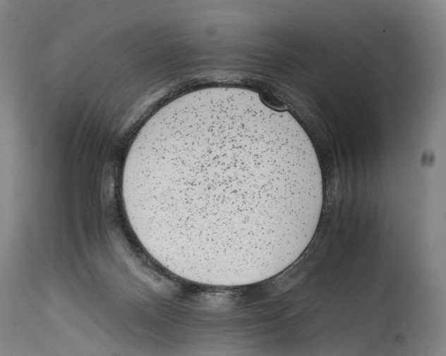 X0000114410120200911131437