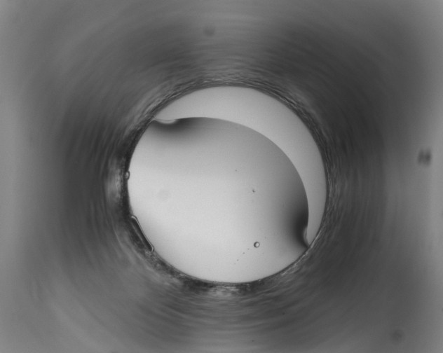 X0000114410124200911131437