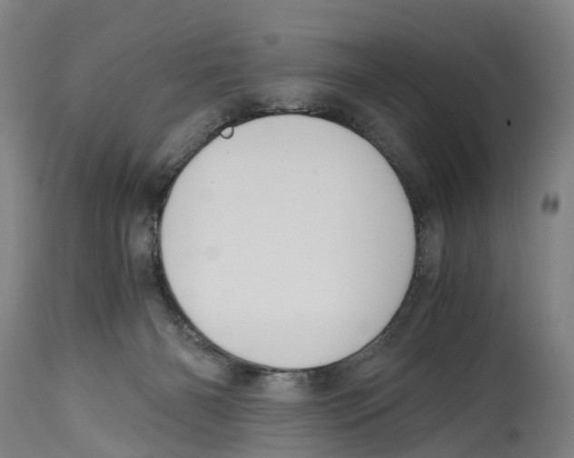 X0000114410126200911131437