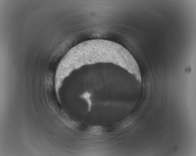 X0000114410127200911131437