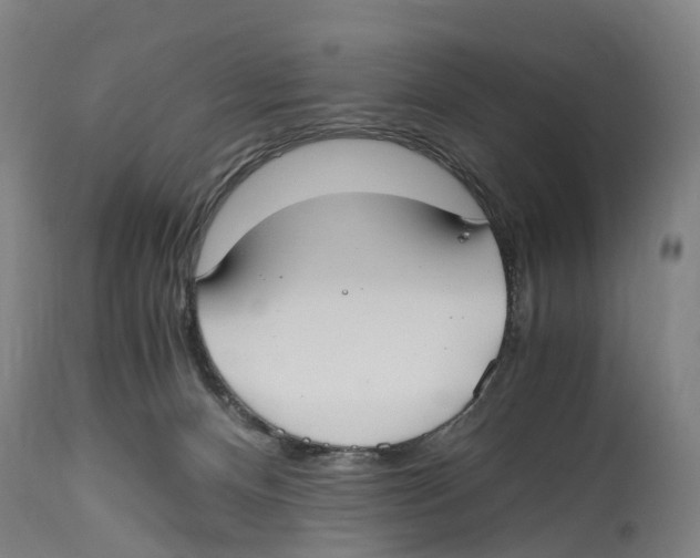 X0000114410128200911131437