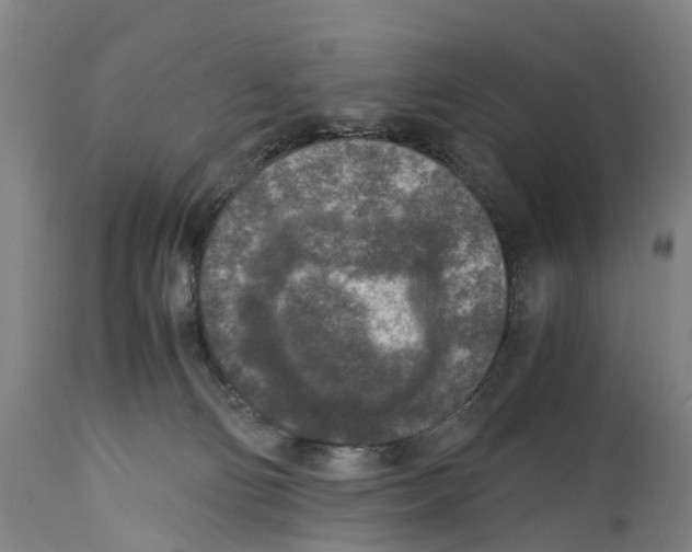 X0000114410130200911131437