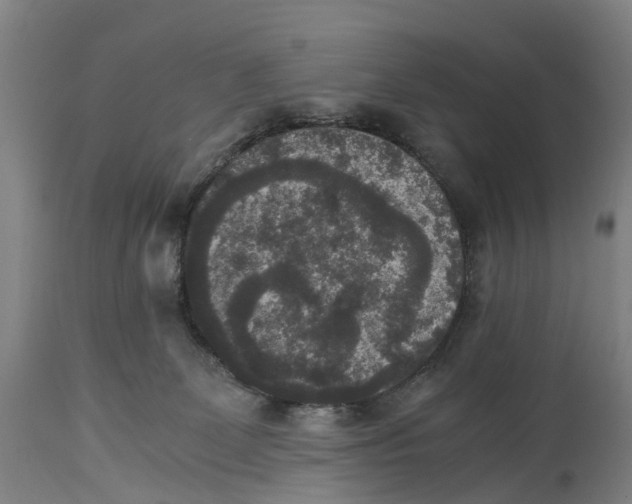 X0000114410131200911131437