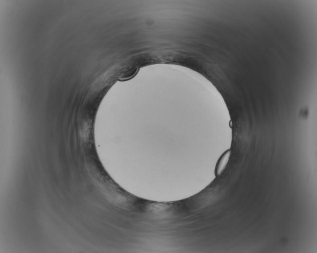 X0000114410139200911131437