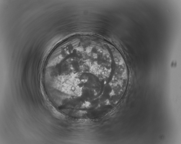 X0000114410145200911131436