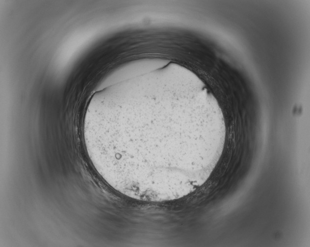 X0000114410146200911131436