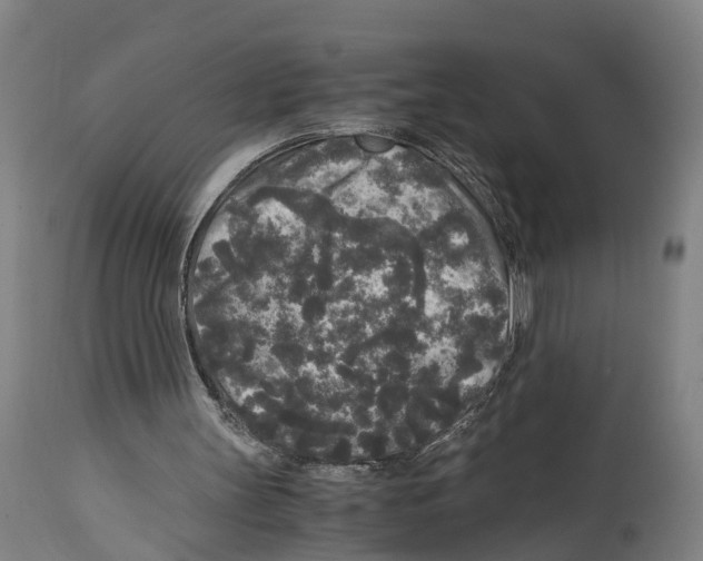 X0000114410147200911131436